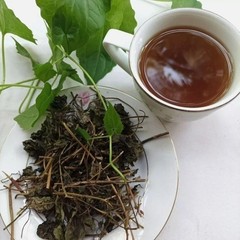 30g Jamaica Guaco Dried Leaves – Mikania Cordifolia Organic Herbal Remedy