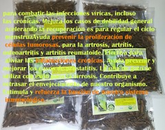 Uña Una de Gato Cat’s Claw 3oz Unicaria Tomentosa 100% Natural Organic Tea !!!