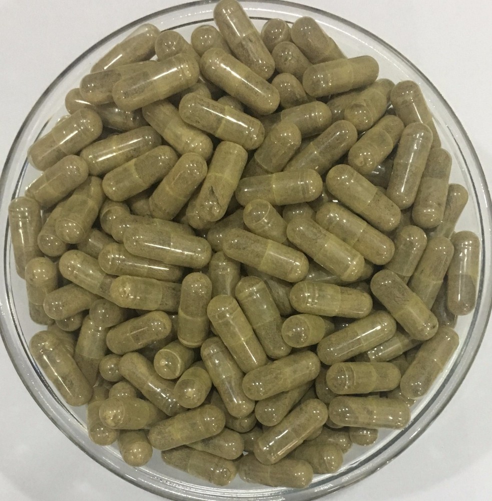Chamomile Flower Extract Capsules (Matricaria Recutita) APIGENIN