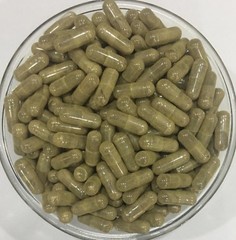 Chamomile Flower Extract Capsules (Matricaria Recutita) APIGENIN