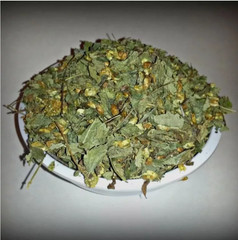 Dream Herb Calea Zacatechichi Leaf – Schmerbals Herbals – Free Shipping