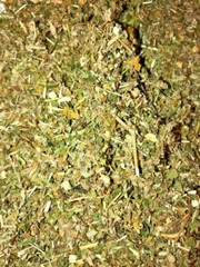 Herbal Blend Mix – Damiana Skullcap Passionflower – ORGANIC Medicinal Concoction