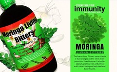 Natural Libido Tonic with Soursop and Moringa – 16oz – Boost Energy and Vitality