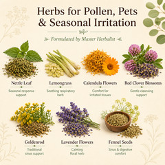 SEASONAL ALLERGY TEA for no more running nose, sneezing & itchy eyes