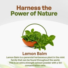 Lemon Balm Extract Powder 10:1 Strength Potent – Melissa Herbal Supplement 8 oz