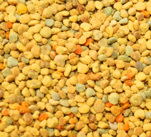 Bee Pollen Granules BULK HERBS 1 lb.