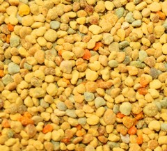 Bee Pollen Granules BULK HERBS 8 oz.