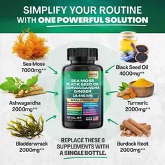 Dynamic Vitality Bundle – Sea Moss Multivitamin & Shilajit Power Combo US