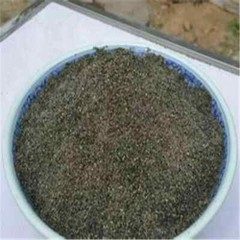 Organic Psoralea corylifolia Powder / Bakuchi / Bavchi / Babchi FREE SHIPPING
