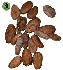 Raw Cacao / Cocoa Beans Whole Chocolate Nigeria Cocoa Bean 4 oz to 5 Lb Bulk