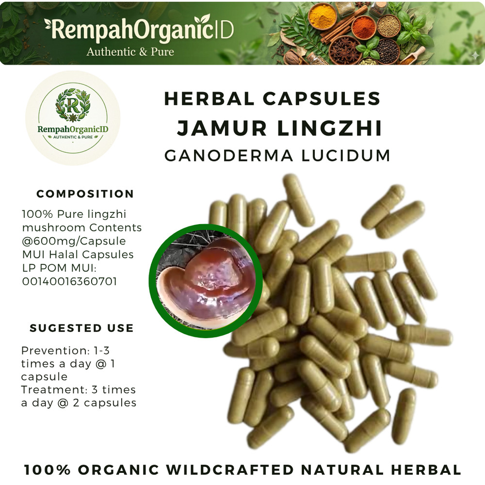 100 CAPSULES JAMUR LINGZHI GANODERMA LUCIDIUM NATURAL ORGANIC HERBAL HERBS
