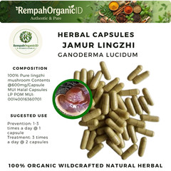 100 CAPSULES JAMUR LINGZHI GANODERMA LUCIDIUM NATURAL ORGANIC HERBAL HERBS
