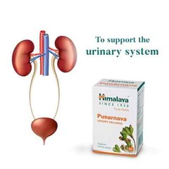 Himalaya HERBAL Punarnava Supports Urinary System 5 Boxes 2026 Exp FREE SHIP