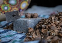 Black Walnut Hull | Whole or Powder | Natural Detox Parasite Support | 1/4/8 oz