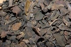 Bladderwrack – Natural Seaweed Kelp Herbs