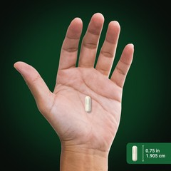 Milk Thistle Extract | 3000mg | 200 Capsules | Non-GMO | by Piping Rock
