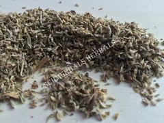 Pennyroyal, Mentha pulegium All Natural Leaf ~ Schmerbals Herbals
