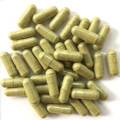 Insulin Plant Leaf — Costus Igneus — 200 VEGGIE CAPS