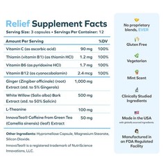 Cheers Relief | Next Morning Aid with Ginger + White Willow Bark | Feel Bette…