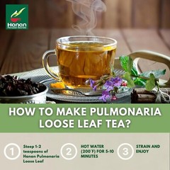 Pulmonaria 50g Lungwort 1.8z Herbal Tea from Peru