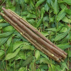 20 Piece. Ayurvedic Natural Organic Neem Datun Toothbrush Tree Twigs Chew Sticks