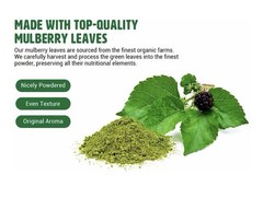 Way4 Organic Mulberry Leaf Powder Extract Natural Food Supplement 1 lb