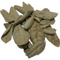 Boldo Dried Cut Leaves, whole Boldo Leaf, Hojas De Boldo, Boldo Tea