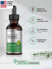 Dandelion Root Extract Supplement | 2 Fl Oz | Super Concentrated | Alcohol Free