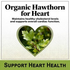 Organic Hawthorn Capsules Supports Heart Antioxidant Circulatory System Health