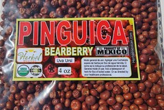 Uva Ursi, Pinguica,Arctostaphylos, Bearberry, uva ursi fruit Organic wild 8oz !