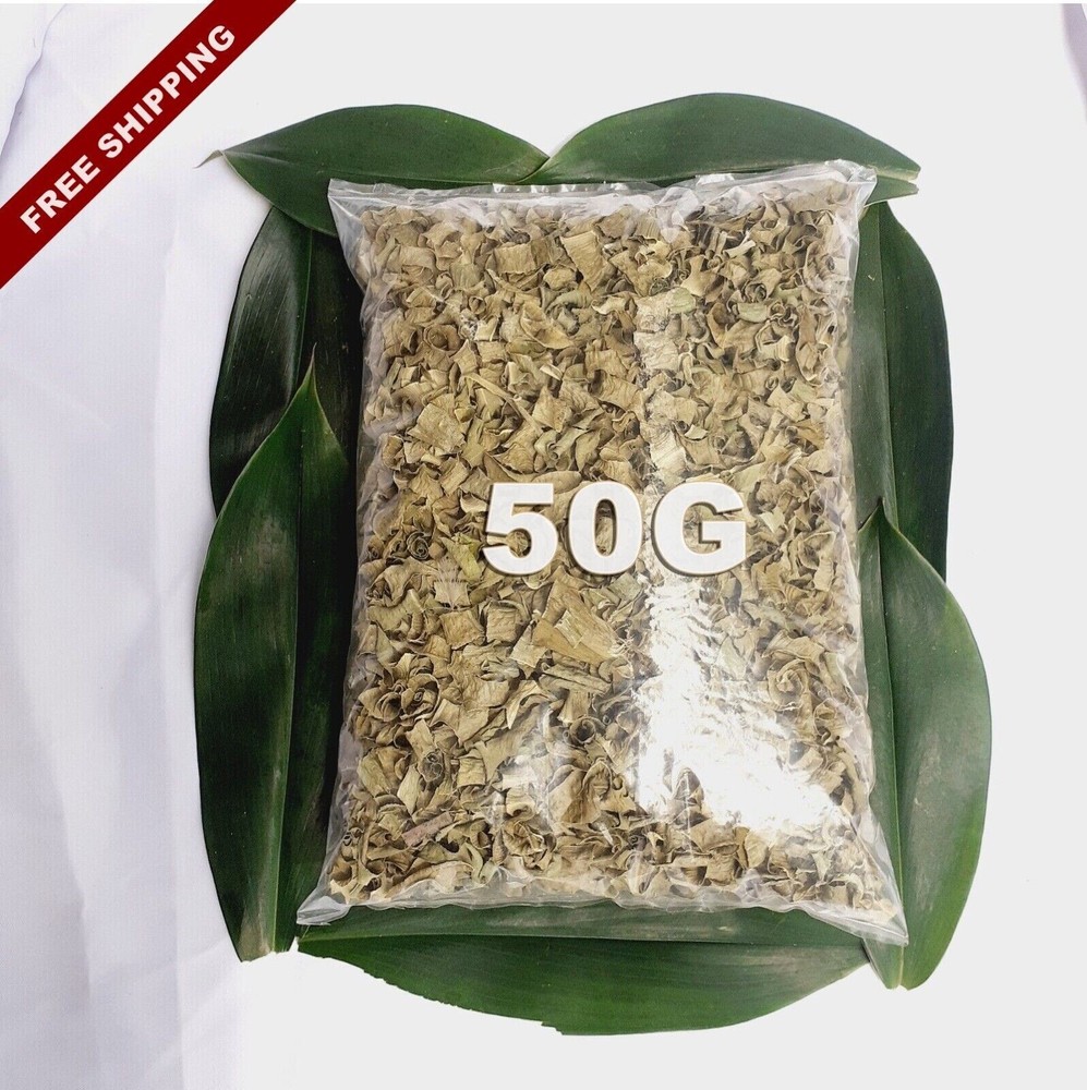 Insulin Cut Leaf Costus Igneus Organic Natural Diabetic Patients Thebu 50g