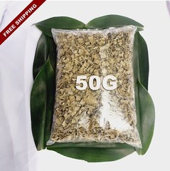Insulin Dried Cut Leaf 50g Costus Igneus Organic Natural Diabetic Patients Thebu
