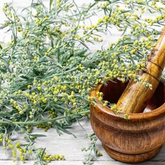 2 Wormwood Black Walnut Gaia, 1 fl oz each (60 ml total) + 2 FREE Vitamin C!!