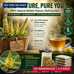 65 Count Value Pack Premium Mullein Leaf Tea Bags – 100% Pure Natural Herbal …