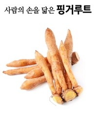 100% Natural Fingerroot Powder 300g Medicinal Korean Herbal Powder NEW 핑거루트