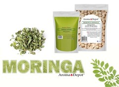 Moringa KERNELS 2 oz. Seeds oleifera Shelled 250 Semilla De Moringa Wholesale