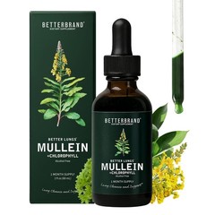 Mullein Drops Tincture for Lung Detox – Alcohol-Free Respiratory Support, 1 Mont