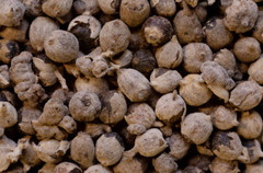 Chaste Berry Herb | Whole or Powder | Hormonal Balance Support 1oz 4oz 8oz Sizes
