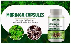 Moringa Oleifera Leaf & Seed Powder 80:20 – 180 Capsules, 1000mg (2 Packs)
