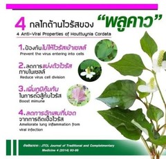 500 Gram Thai Herbal Freeze Dried Plu Kow Powder 100% Natural