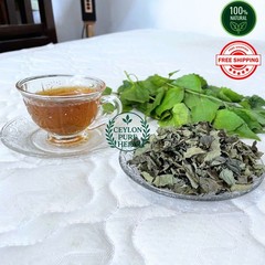 Calea Zacatechichi Tea Mexican Dream Herb Organic Herbal Lucid Aid 100% Natural