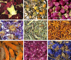 DRIED HERBS {A-K} 2 oz Bag – Loose Botanicals Apothecary Flowers Leaves Roots