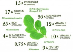 Organic Moringa Seeds | Moringa Oleifera | Dried, Non GMO, Edible,Planting