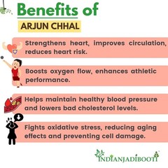 IndianJadiBooti Pure Arjun Chhal Powder Terminalia Arjuna Chaal Powder-400 GRAMS
