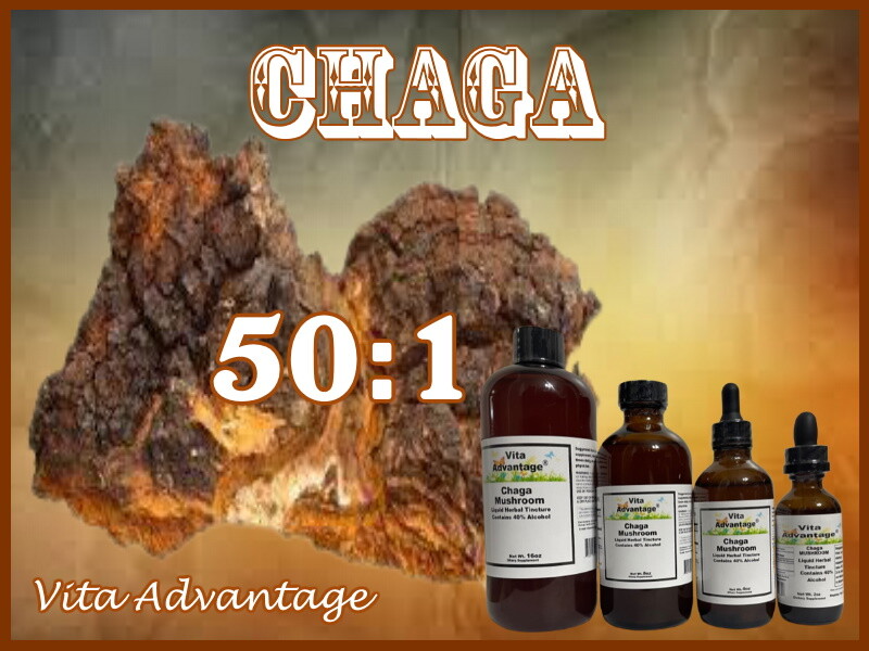 CHAGA MUSHROOM Tincture