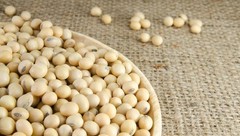 Hunza Organic Soybeans 2 lbs – Non-GMO, High-Protein Cooking Essential