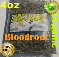Sanguinaria Hierba Te, Blood root, Coon Root, Sanguinaria canadensis 4oz !!!