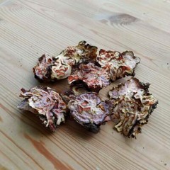 Icelandic Golden Root – Large and Old Wild Harvested Arctic Rhodiola Rosea