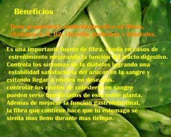 Nopal,Nopal en polvo/powder,Nopal/prickly pear cactus 4oz,Organic mexican herbs