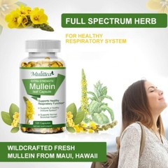 120 Mullein Leaf Capsules for Lung Cleansing&Detox Herbal Dietary Supplement